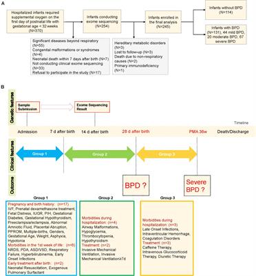 Bronchopulmonary Dysplasia Predicted by Developing a Machine Learning Model of Genetic and Clinical Information